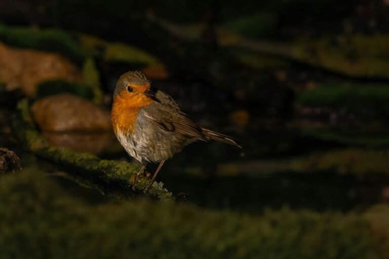 signal harmonization log entries