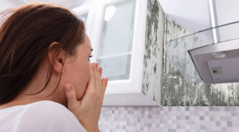 How Mold Removal Can Enhance Your Home's Resale Value