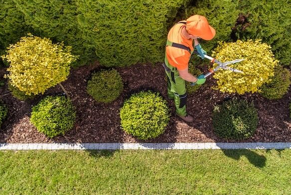 Greener Grass Landscaping: Expert Lawn Care and Outdoor Solutions in Mount Pleasant